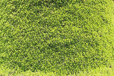 《萝卜男孩抢银行》宣布登陆移动端 明年1月14日发售